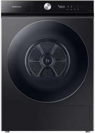 Samsung DV20B Heatpump Bespoke